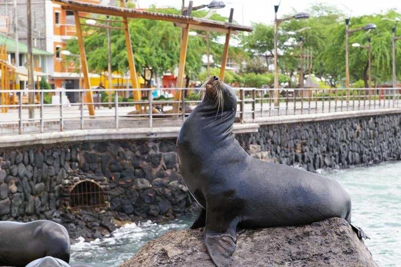 Galápagos reabre a los turistas